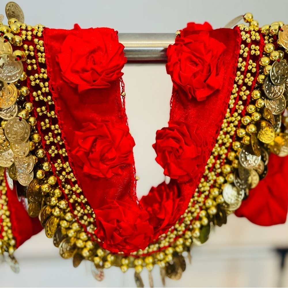 Belly Dance Skirt with Gold Coins and Rose Petals - Picture 7 of 8